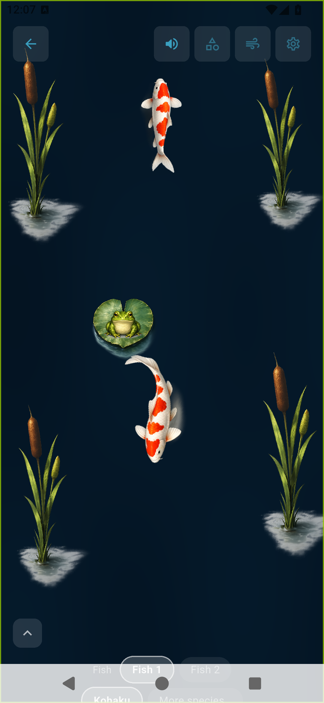 Calm Studio Pond mode